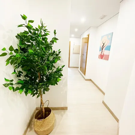 Apartman Novedad Avenida Puente Del Pilar